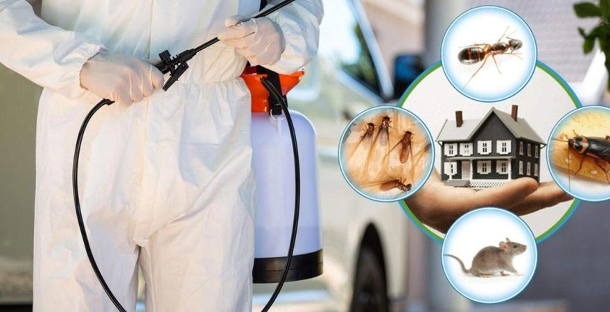 Hafik Böcek İlaçlama