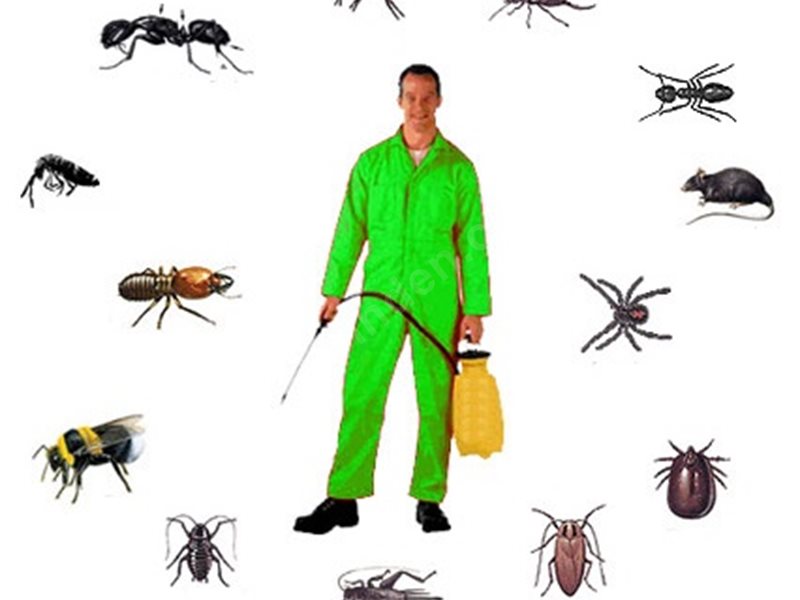 Hafik Böcek İlaçlama