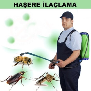 Hafik Böcek İlaçlama